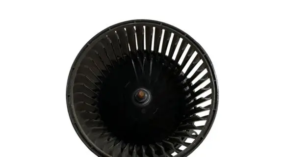 Heater fan/blower