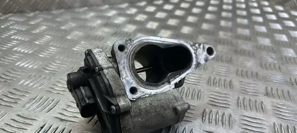 Suzuki Grand Vitara II EGR valve 8200609274