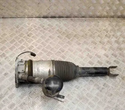 Audi A8 S8 D3 4E Rear shock absorber/damper 4E0616001H