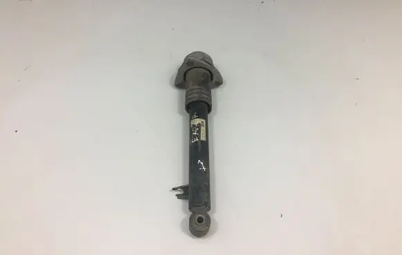 BMW X5 E70 Rear shock absorber/damper 6781928