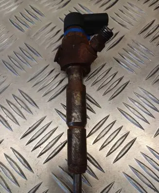 Ford Transit - Tourneo Connect Fuel injector 7T1Q9F593AB 53991