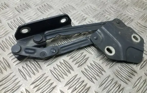 Volkswagen Touran I Tailgate/trunk/boot hinge 1T0823301E