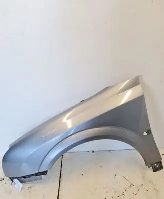 Opel Signum Fender
