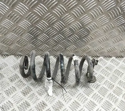 Skoda Enyaq iV Rear coil spring 1EA511103E