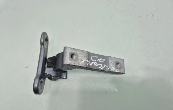 Volvo S60 Rear door lower hinge 