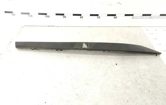 Fender trim (molding)
