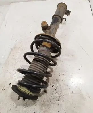 Fiat Doblo Front shock absorber with coil spring 51880842