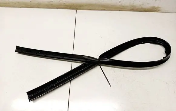 Ford Focus Rubber seal rear door 