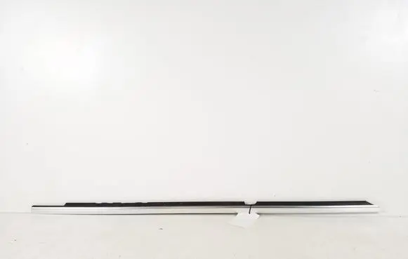 Rear door trim (molding)