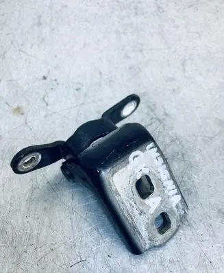 Opel Insignia A Rear door lower hinge AO46572