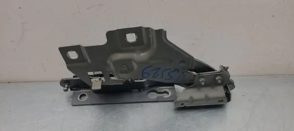 Polestar 2 Engine bonnet/hood hinges RH230830