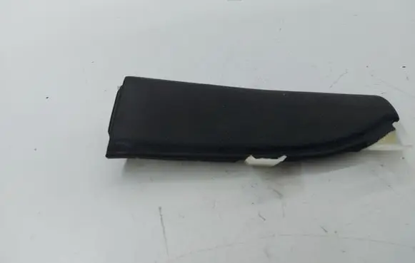 Other front door trim element