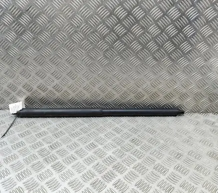 Tesla Model S Tailgate/trunk strut/damper 600661100B