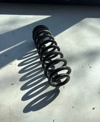 Dacia Spring Rear coil spring 550200356R 210721