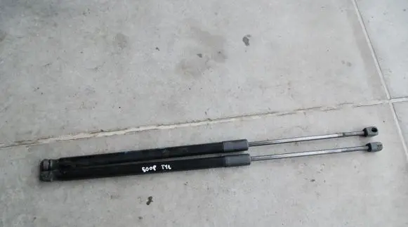 Tailgate strut