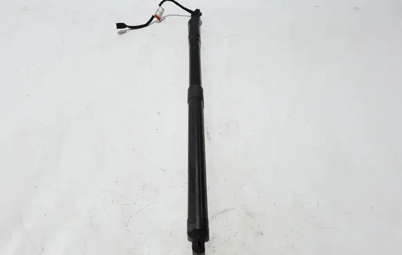 Tailgate strut