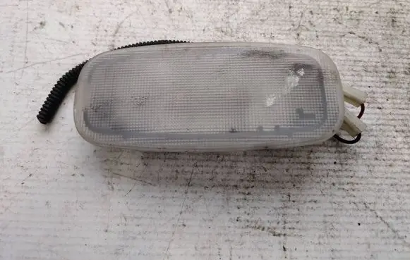 Volkswagen Crafter Front seat light A9068200701