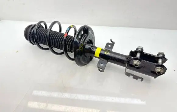 Nissan Juke II F16 Front shock absorber with coil spring 543032180R