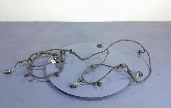 BMW X5 E53 Other wiring loom 5A75A58