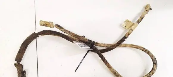 Other wiring loom
