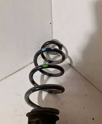 Rear coil spring