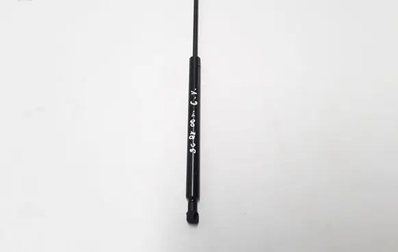 Tailgate strut