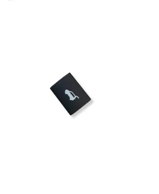 Nissan Ariya Tailgate opening switch 79694