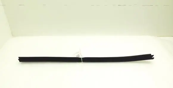Audi A4 S4 B9 Rubber seal rear door window/glass 8W0839480