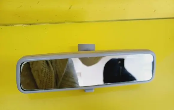 Volkswagen Golf IV Rear view mirror (interior)
