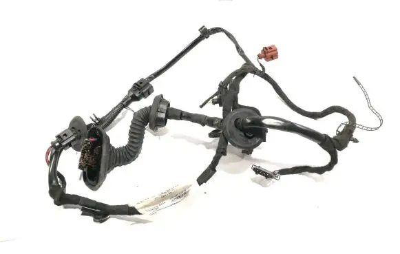 Audi A8 S8 D3 4E Front door wiring loom 4E0971029BL 15102004