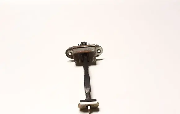 Rear door check strap stopper