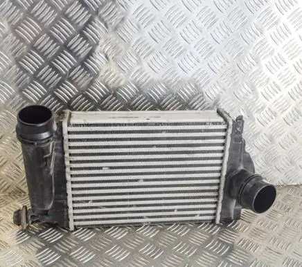 Nissan Qashqai Intercooler radiator 14461BD71B