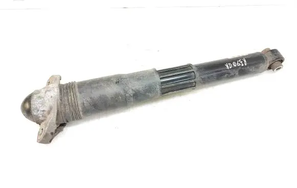 Volkswagen ID.4 Rear shock absorber/damper 1EA512013BC 801404008524