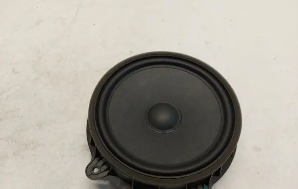 Tesla Model Y Front door speaker 1079744-00-E-JLK01