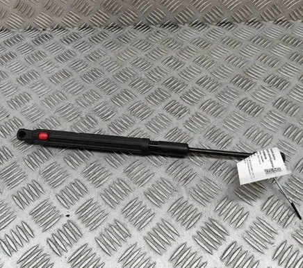 Mercedes-Benz S C217 Front bonnet/hood damper/strut A2229800064