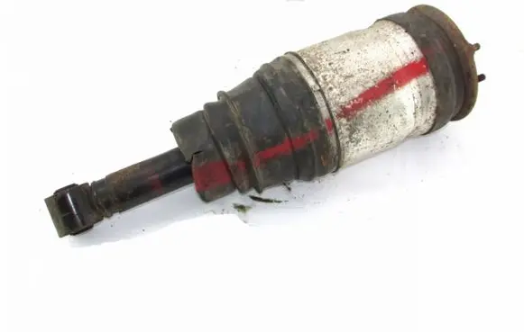 Land Rover Range Rover Sport L320 Rear shock absorber/damper