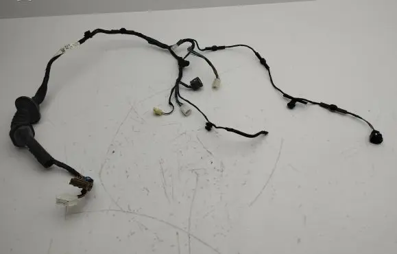 Front door wiring loom