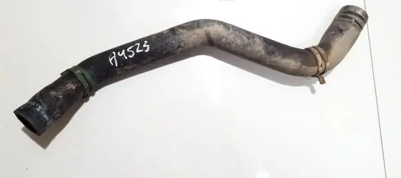 Renault Scenic I Engine coolant pipe/hose