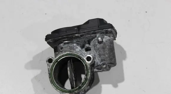Throttle body valve