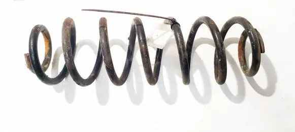 Rear coil spring