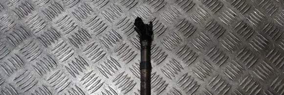 Jaguar XF X250 Fuel injector 0445116