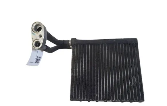 Ford Focus C-MAX Heater blower radiator 668002A