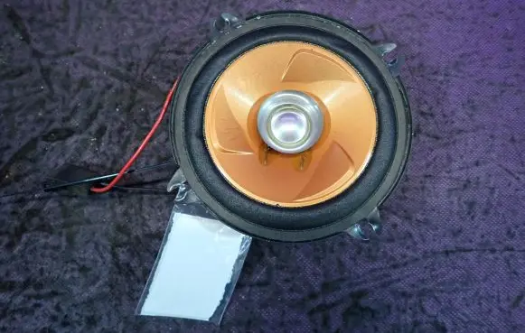 Dacia Logan I Front door speaker TSG1318