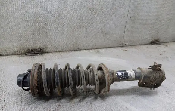 Land Rover Freelander Rear shock absorber with coil spring 22190518