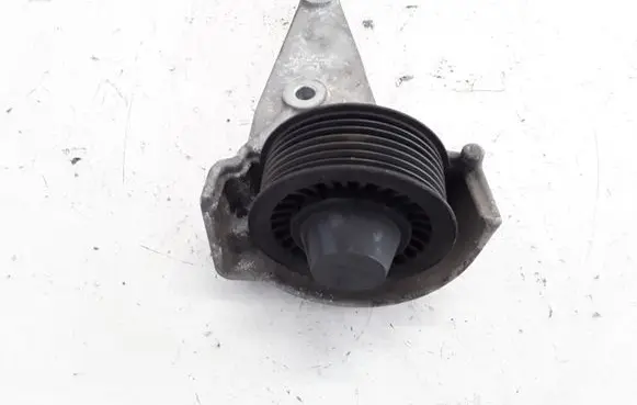 Renault Scenic III - Grand scenic III Alternator belt tensioner 119260001R