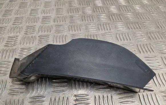 Rear/tail light trim molding