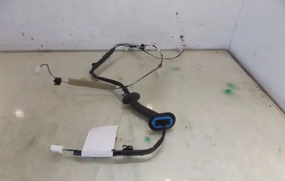 Suzuki Ignis Rear door wiring loom