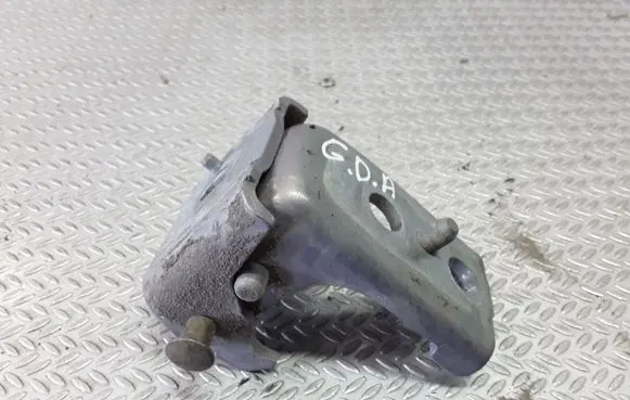 Citroen C3 Rear door lower hinge