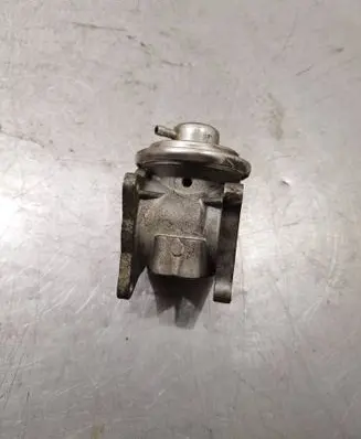 EGR valve