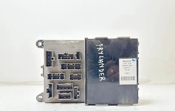 Land Rover Freelander Other control units/modules YWC000492 53070133D 240772